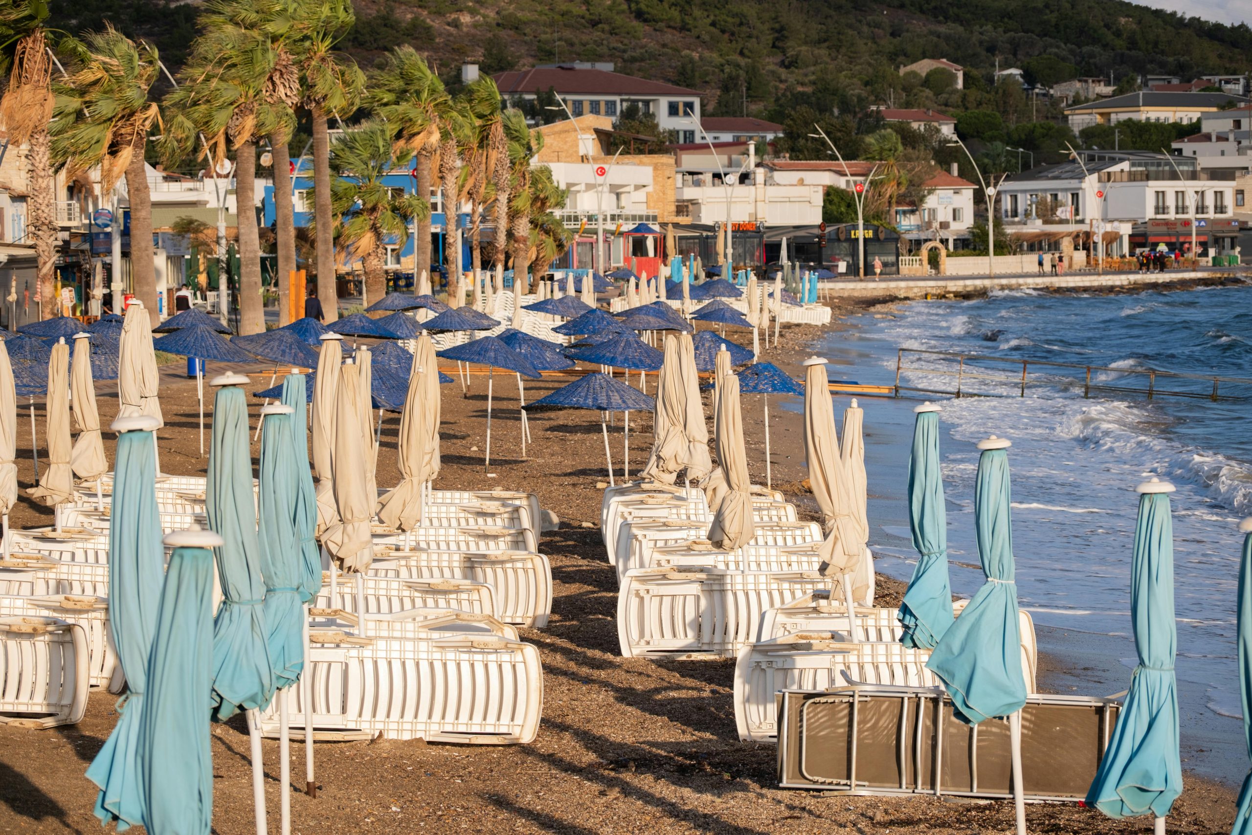 pexels-izafi-33976587