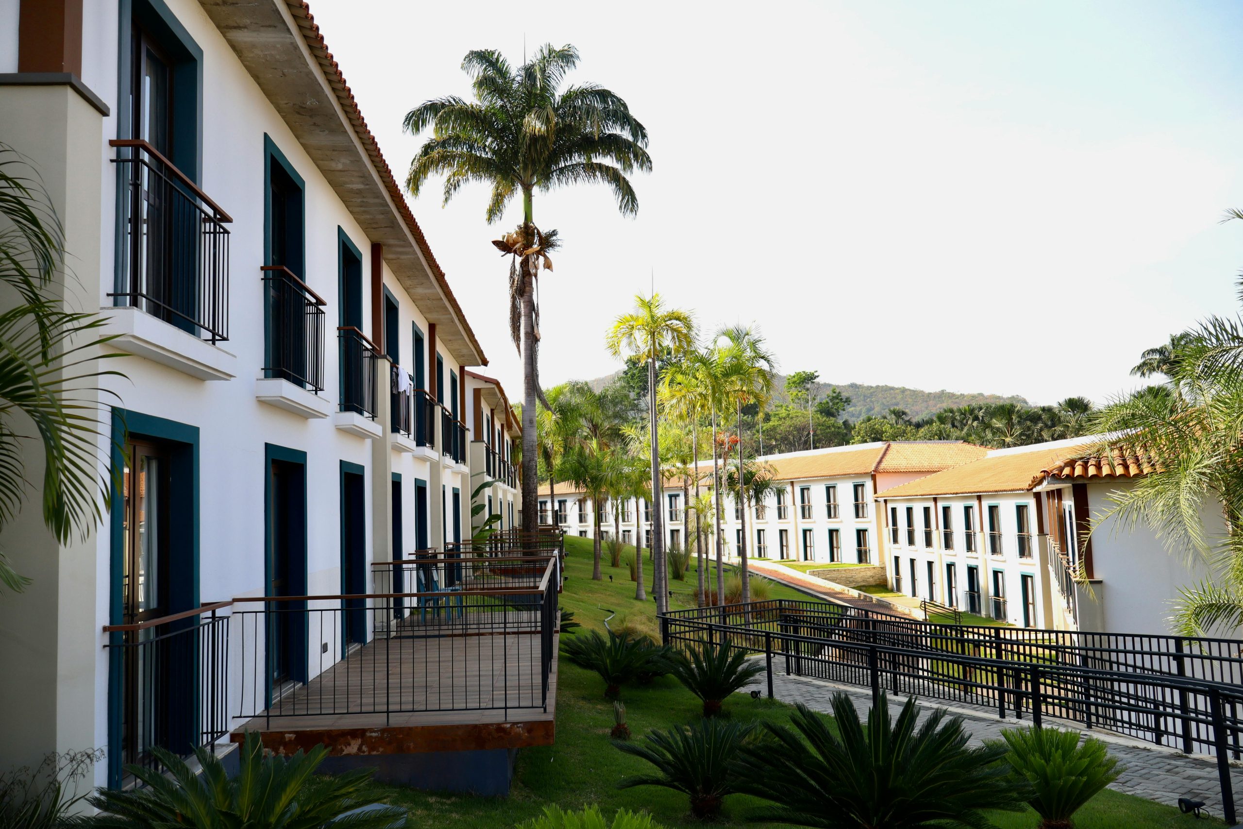 pexels-rodrigofonseca-33951869